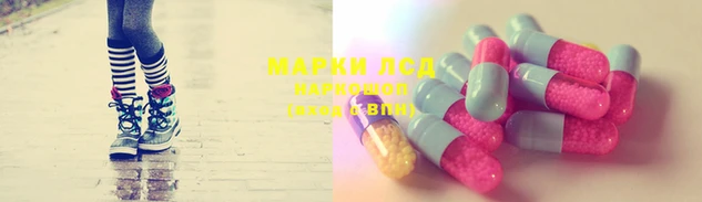 герыч Осташков