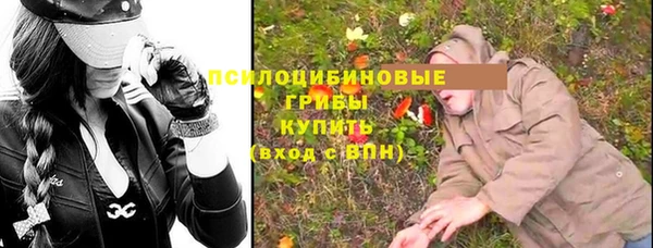 СК Осинники