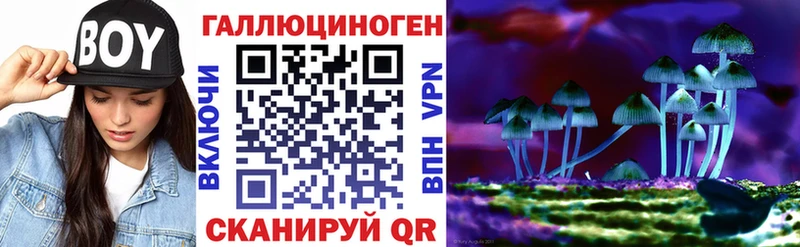 Псилоцибиновые грибы Psilocybine cubensis Назарово